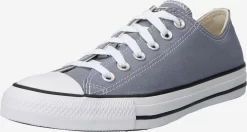 Converse Skate Sneakers Sneaker Low Chuck Taylor All Star Kvinder Sølvgrå
